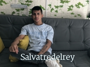 Salvatredelrey