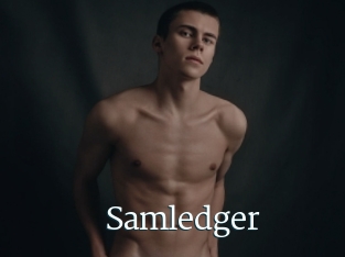 Samledger