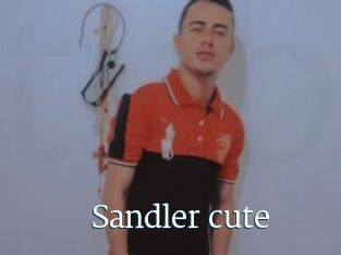 Sandler_cute