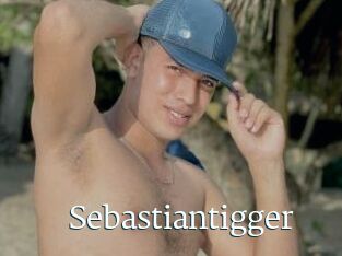 Sebastiantigger
