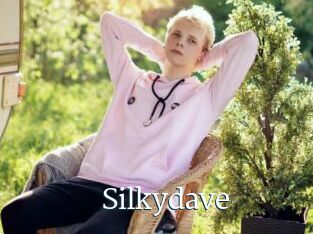 Silkydave