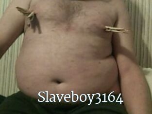 Slaveboy3164
