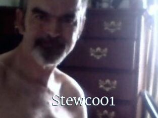 Stewco01