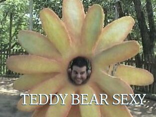 TEDDY_BEAR_SEXY