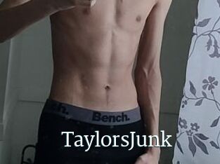 TaylorsJunk