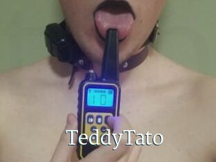 TeddyTato