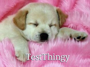 TestThingy