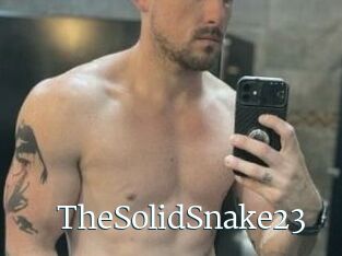 TheSolidSnake23