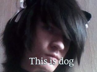 This_is_dog