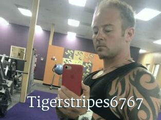 Tigerstripes6767