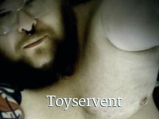Toyservent