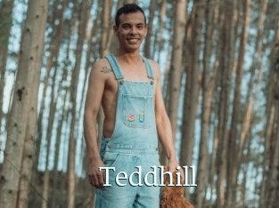 Teddhill