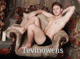 Tevinowens