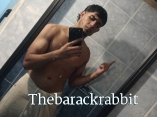 Thebarackrabbit