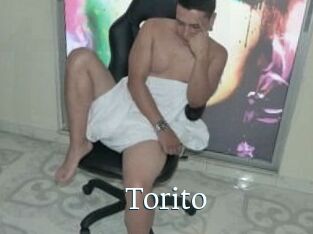 Torito