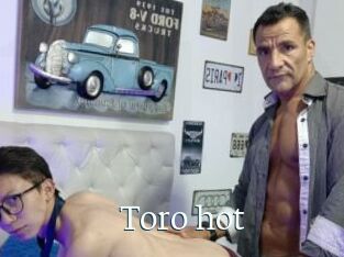 Toro_hot