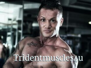 Tridentmuscles4u