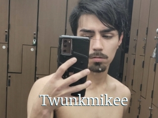 Twunkmikee