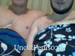 UncutPenis0214