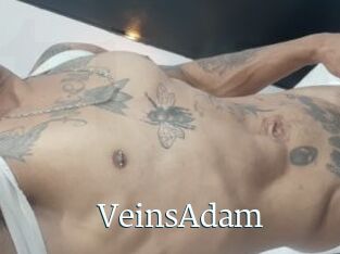 VeinsAdam