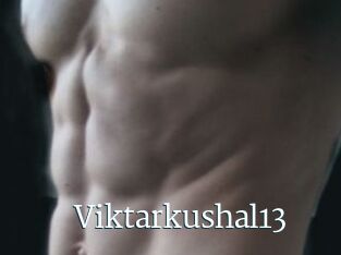 Viktarkushal13