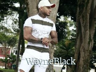 WayneBlack
