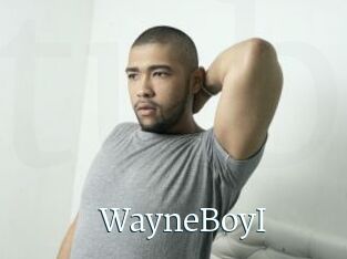 WayneBoyI