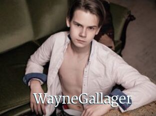 WayneGallager