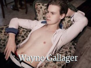 Wayne_Gallager