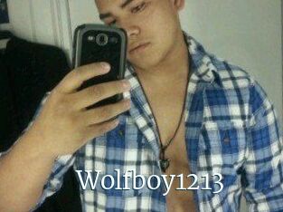 Wolfboy1213