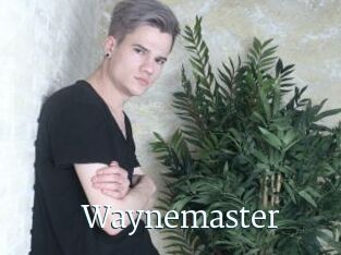 Waynemaster