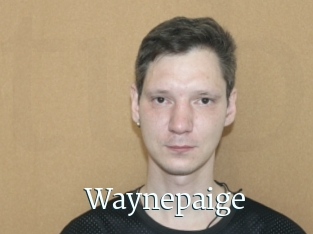 Waynepaige