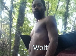 Wolf