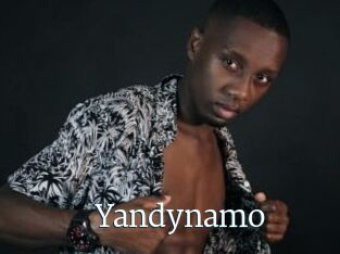 Yandynamo