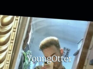 YoungOtter