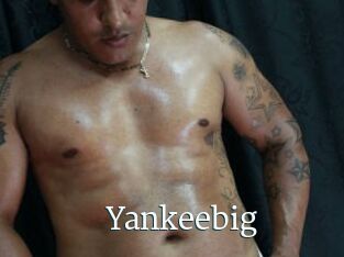 Yankeebig