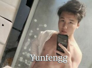 Yunfengg