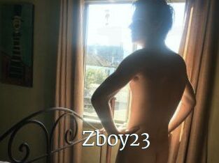 Zboy23
