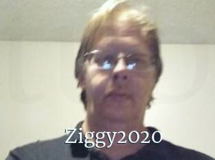 Ziggy2020