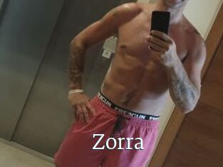 Zorra