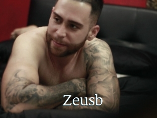 Zeusb